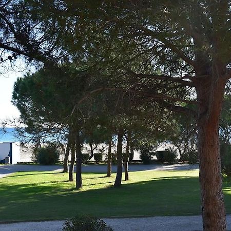 Le Byblos 9 - Vue Mer - Climatisation Plage dʼArgelès Exteriér fotografie