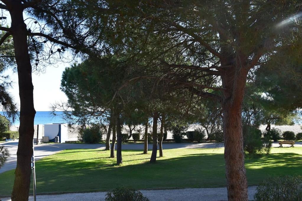 Le Byblos 9 - Vue Mer - Climatisation Plage dʼArgelès Exteriér fotografie